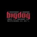 Bigdog