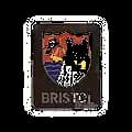 Bristol