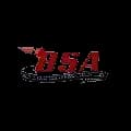 Bsa