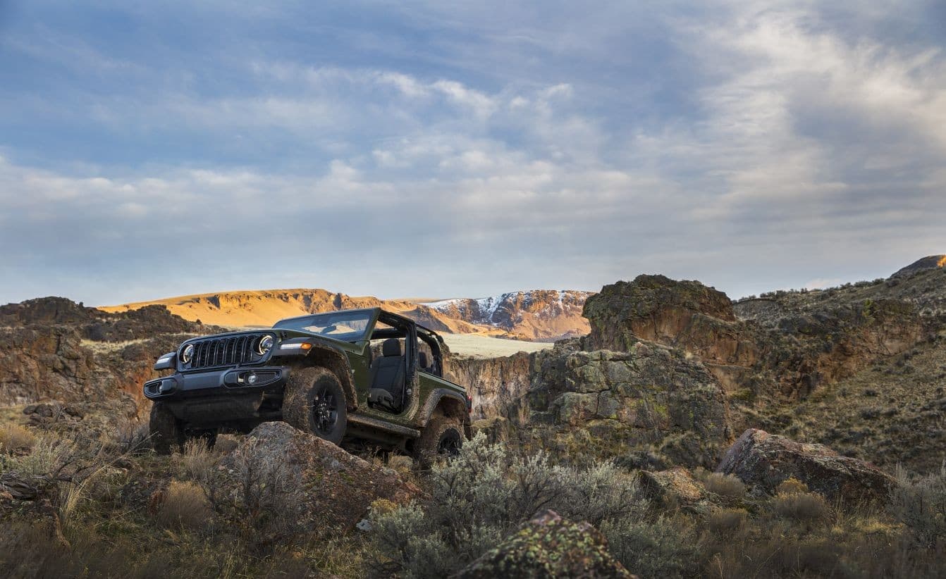 JEEP Wrangler