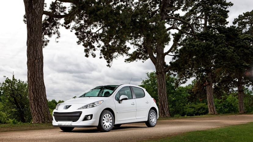 Peugeot PEUGEOT 207 5 Doors - 1