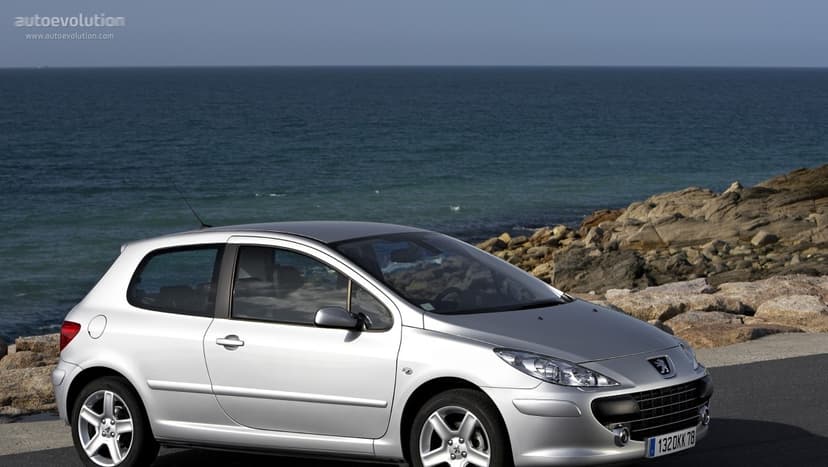 Peugeot PEUGEOT 307 3 Doors - 1