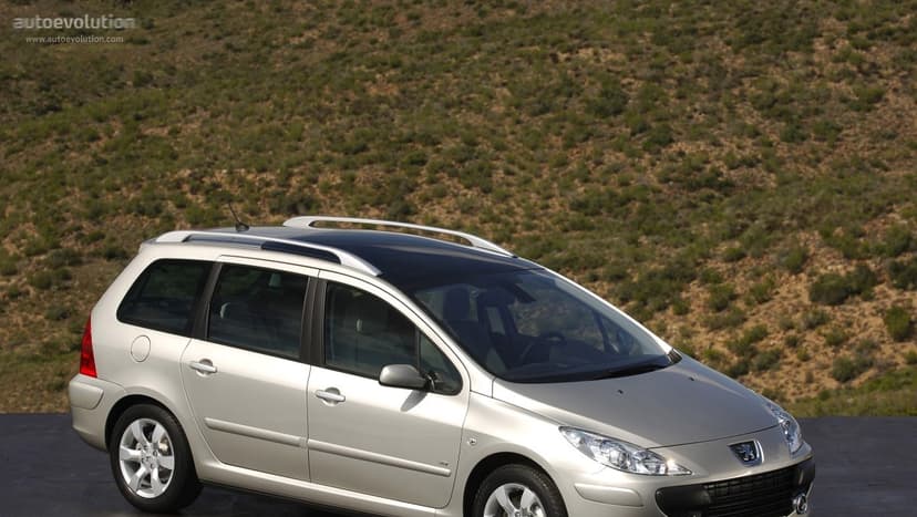 Peugeot PEUGEOT 307 SW - 1