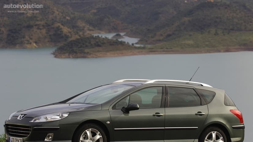 Peugeot PEUGEOT 407 SW - 1