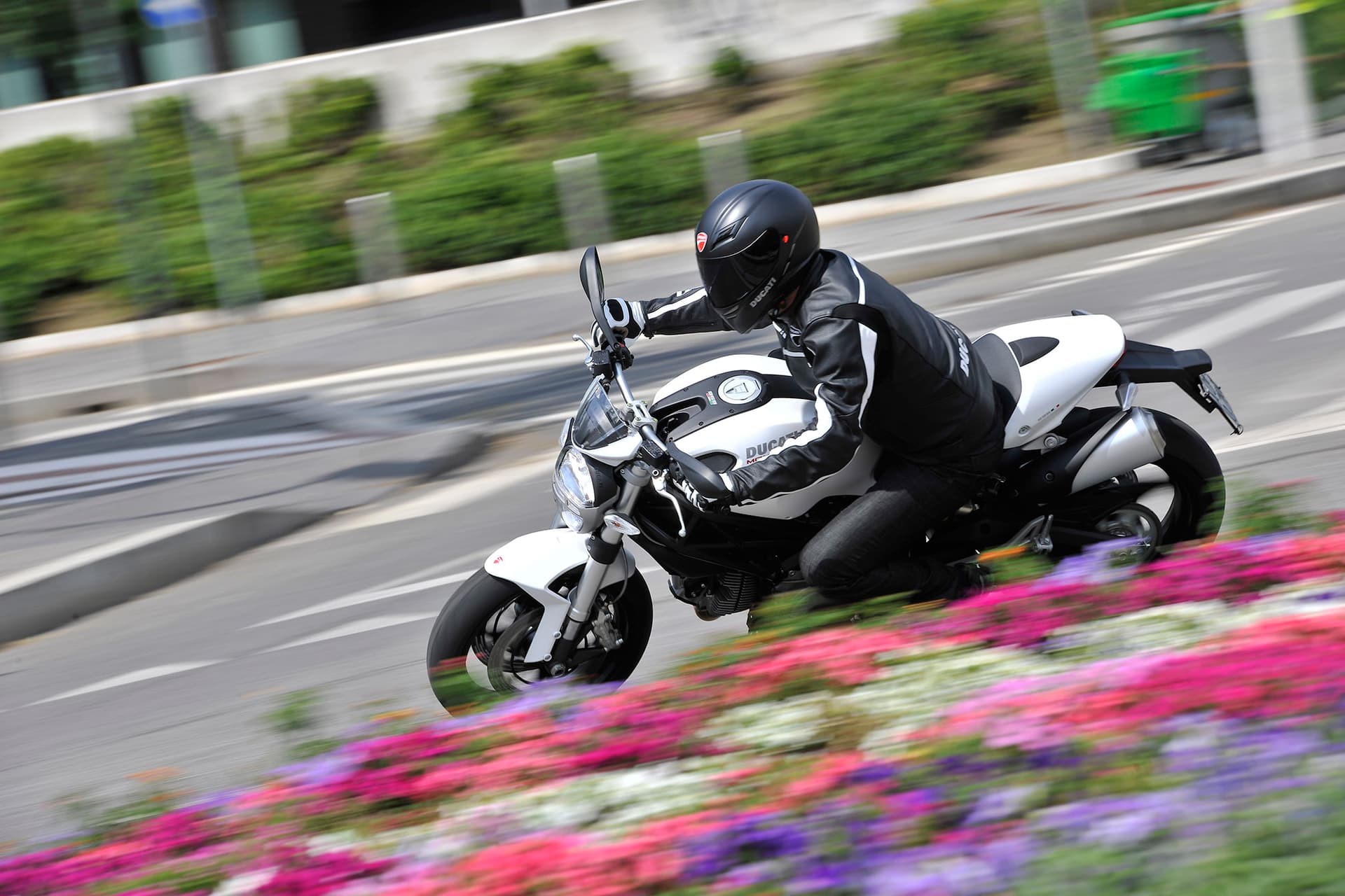 DUCATI Monster