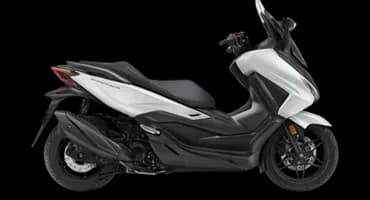 Honda Motor Forza 250 Çantasız - 1