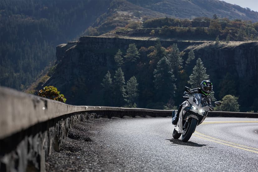 Kawasaki KAWASAKI Ninja - 1