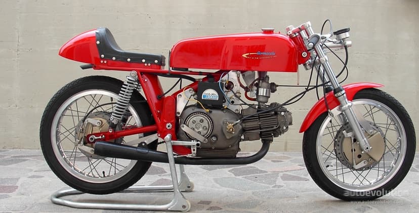 Aermacchi Ala D'Oro - 1