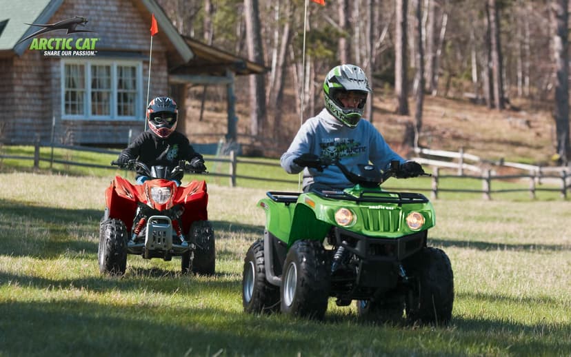 Arctic cat ARCTIC CAT 90 - 1
