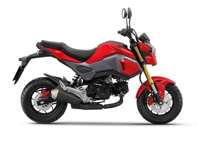 Honda MSX - 1