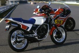 MVX