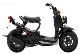 Honda RUCKUS - 1