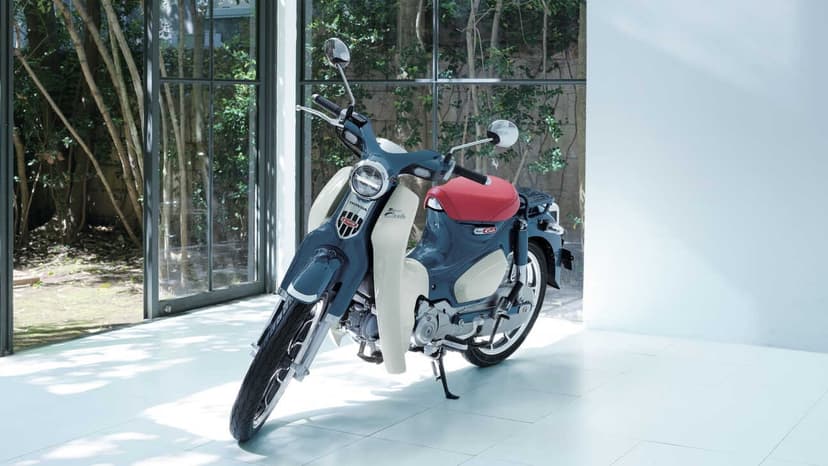Honda Super Cub - 1