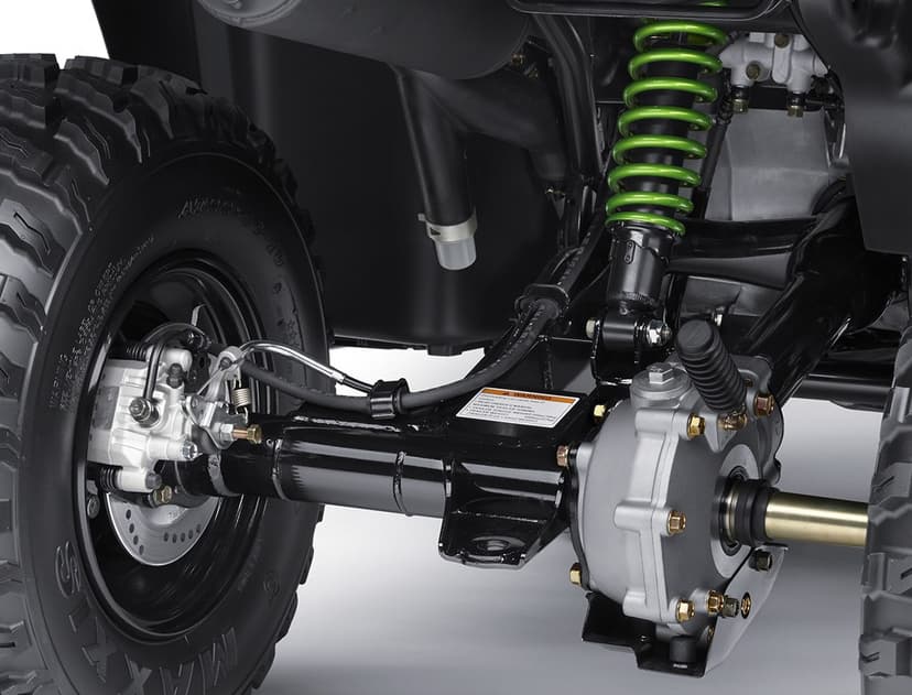 Kawasaki Brute Force - 1