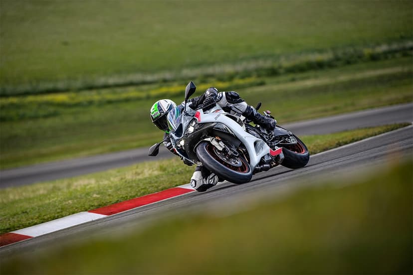 Kawasaki KAWASAKI Ninja - 1