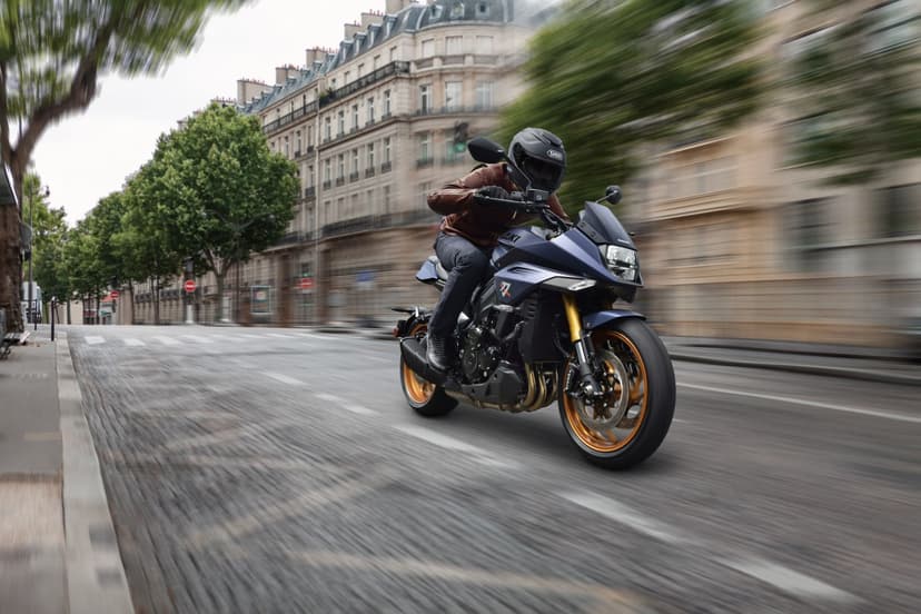 Suzuki Katana - 1