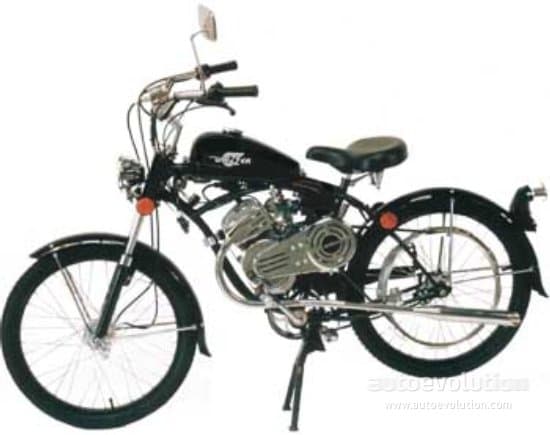 Whizzer Panther - 1