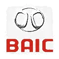 Baic Motor