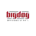 Bigdog