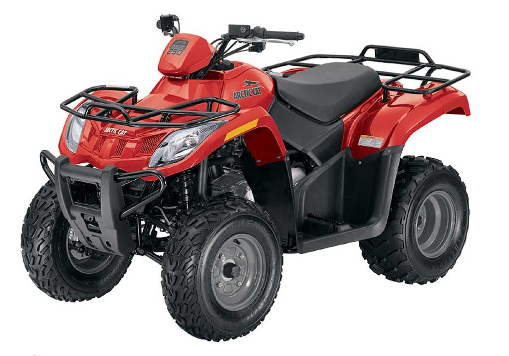 ARCTIC CAT 250
