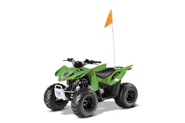ARCTIC CAT DVX