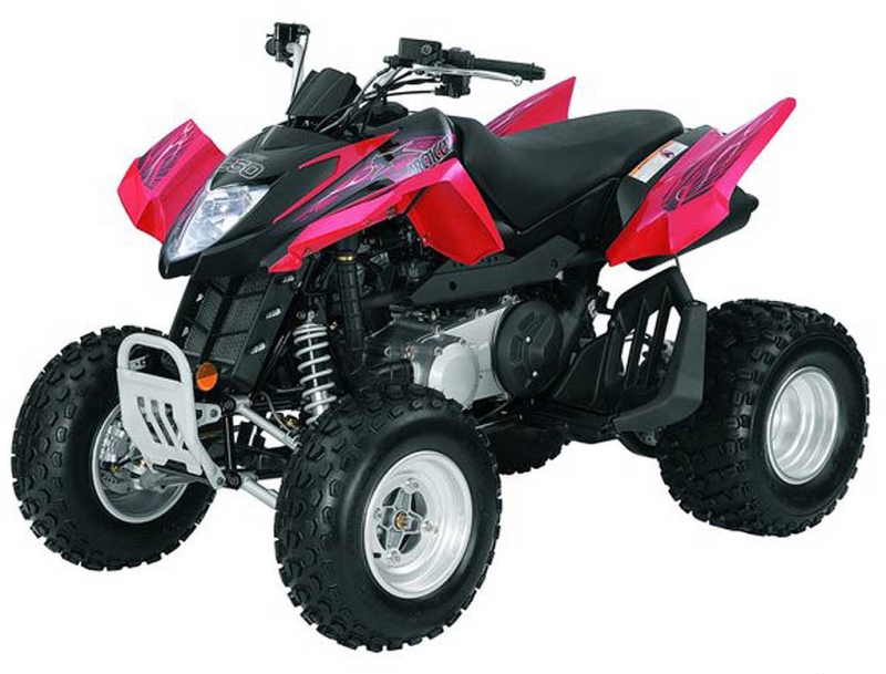 ARCTIC CAT DVX250