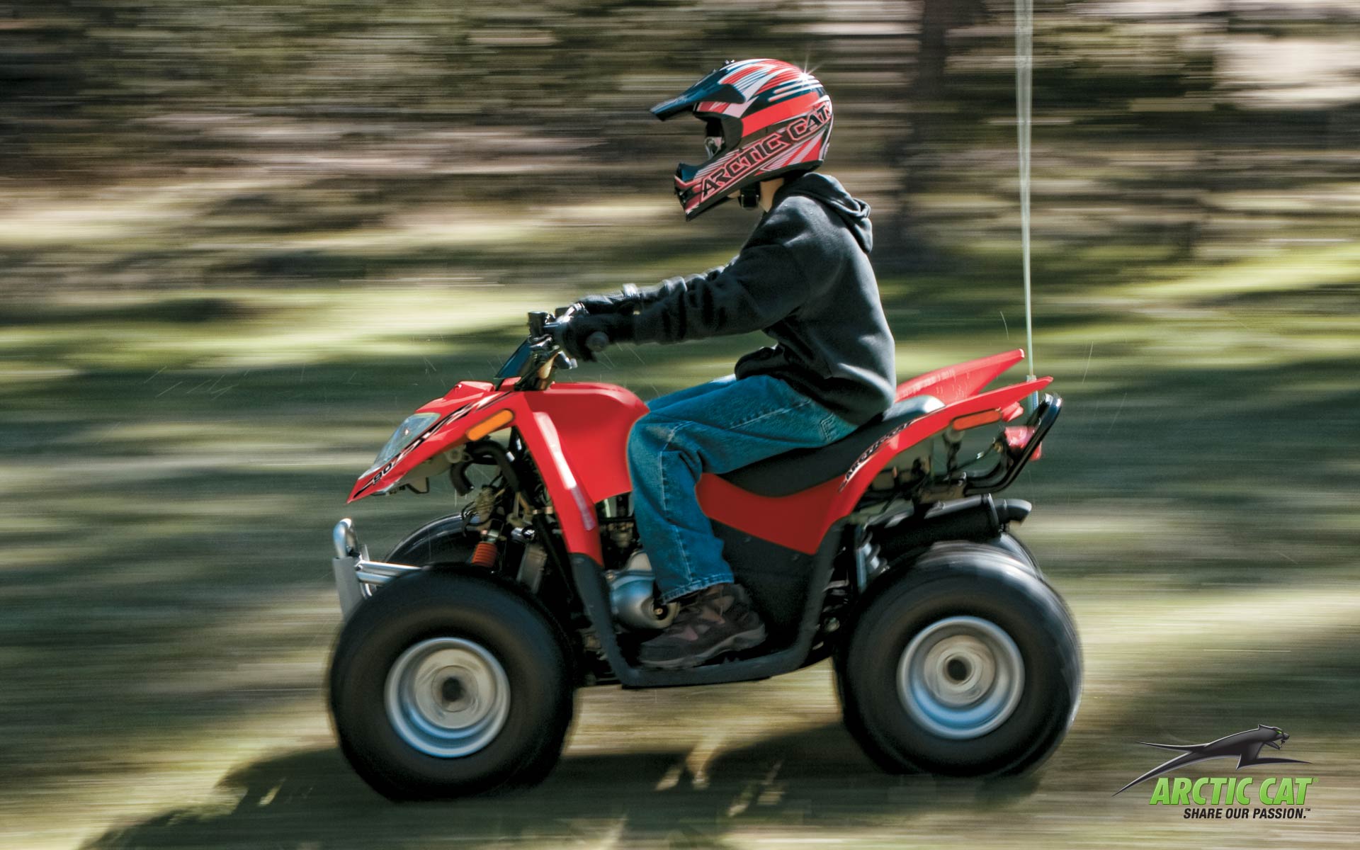 ARCTIC CAT DVX90