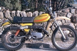 Super Pioneer 250